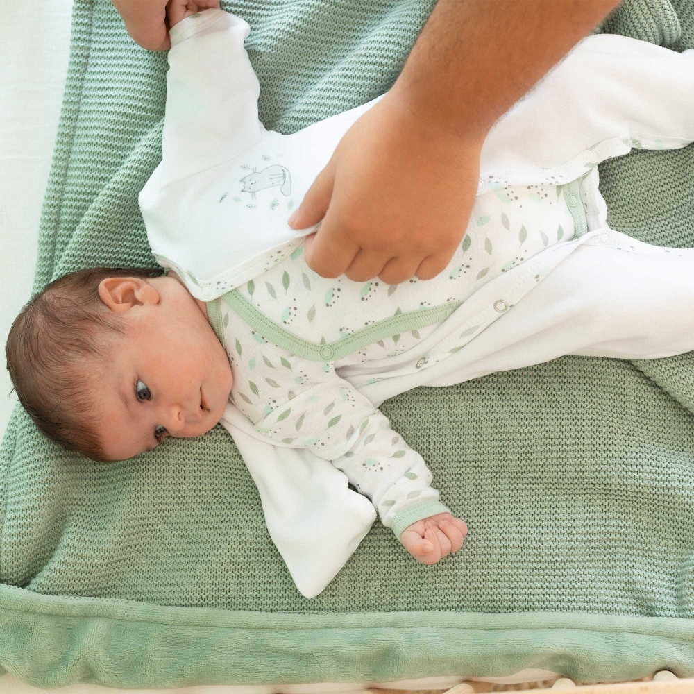 naissance bebe chat que faire